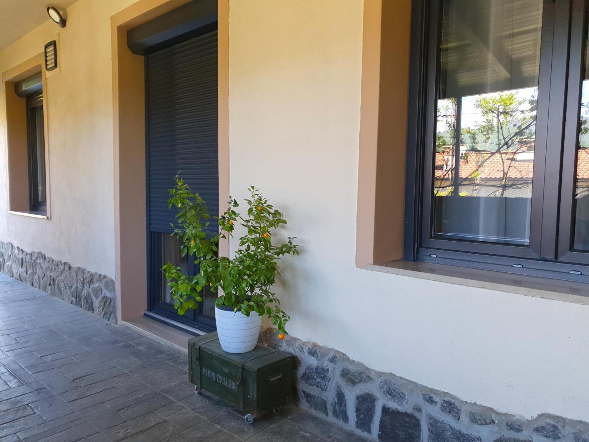 Apartment With Terrace Nona Pavla Толмин Екстериор снимка